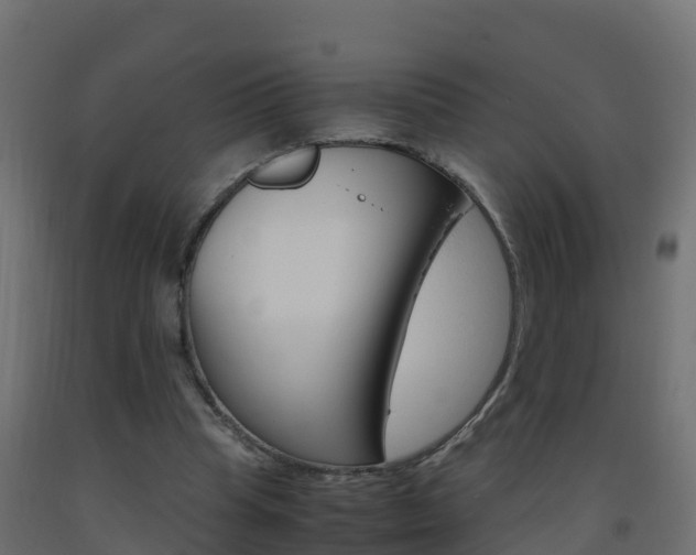 X0000093410345200710120920