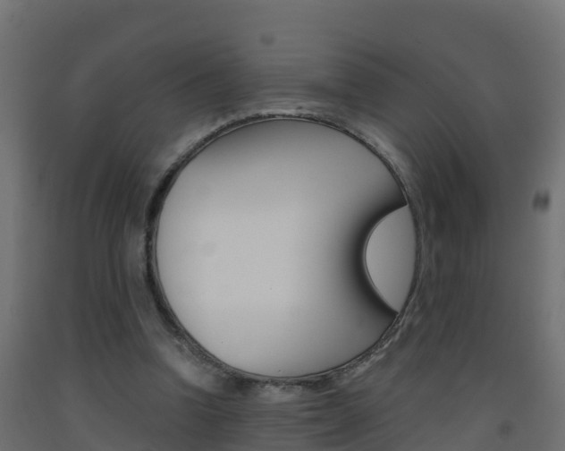 X0000093410346200710120920