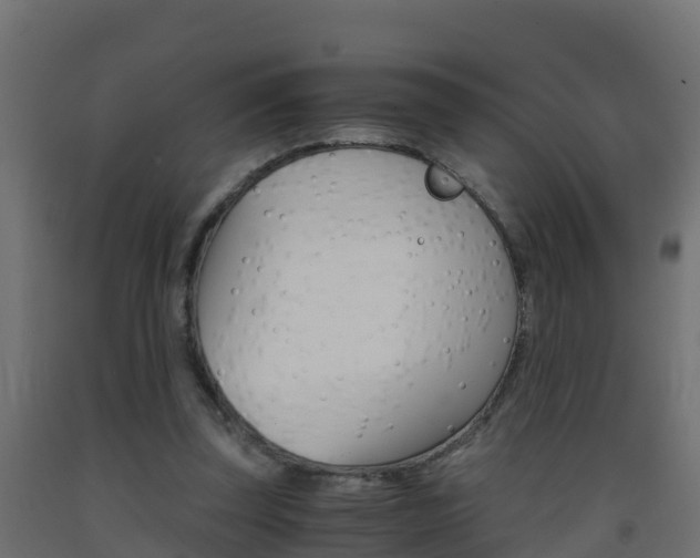 X0000093410347200710120920