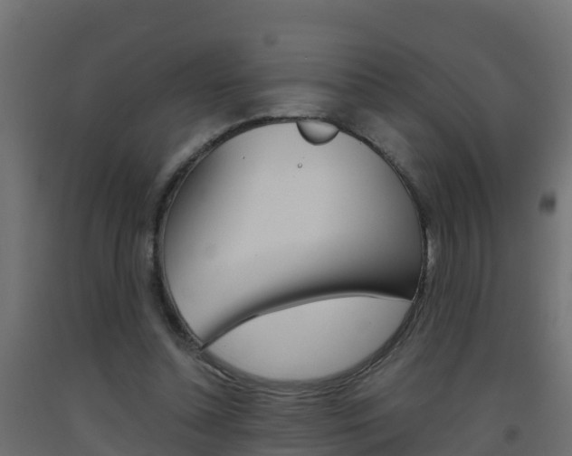 X0000093410348200710120920