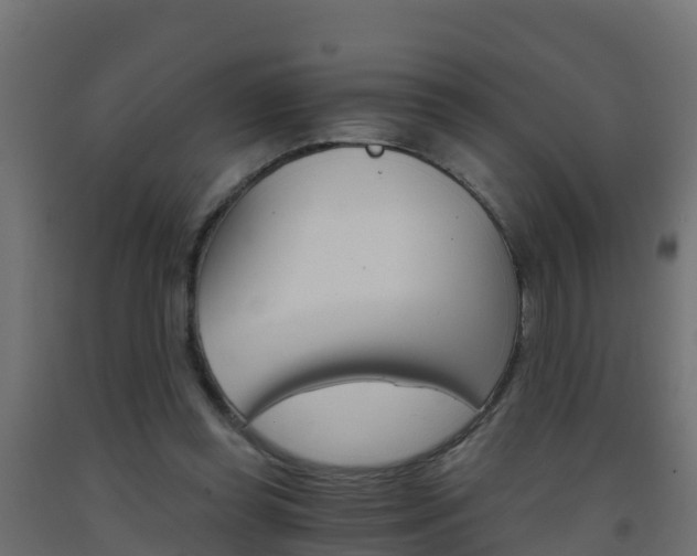 X0000093410349200710120920