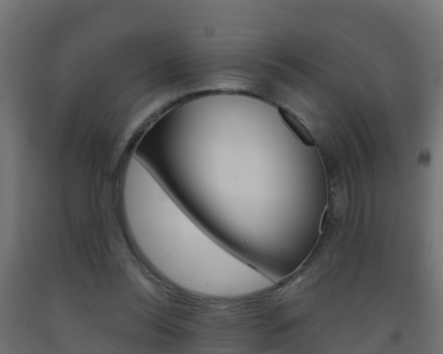 X0000093410350200710120920