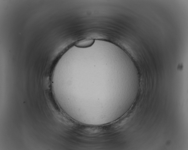 X0000093410351200710120920