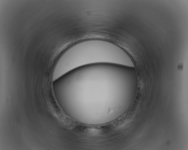 X0000093410352200710120920