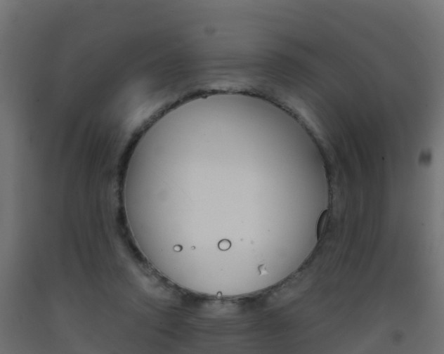 X0000093410354200710120920