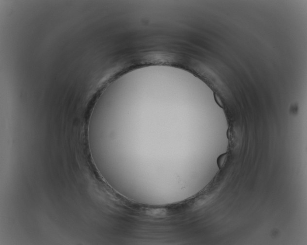 X0000093410355200710120920