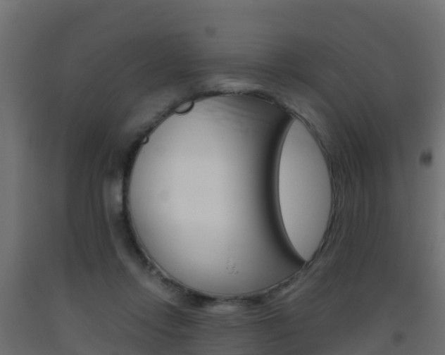 X0000093410358200710120920