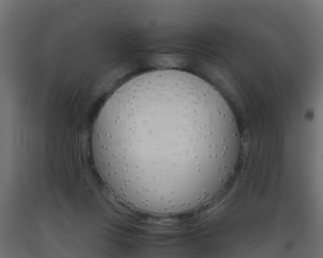 X0000093410359200710120920