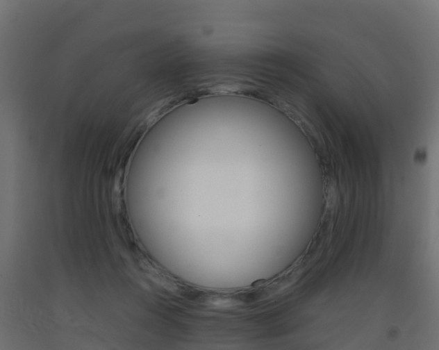 X0000093410360200710120920