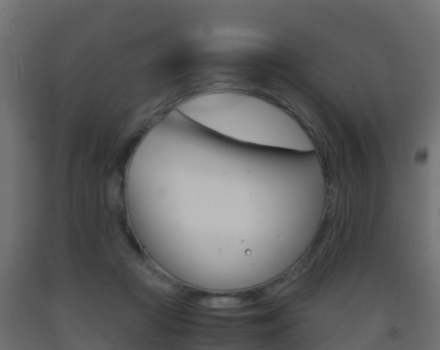 X0000093410361200710120920