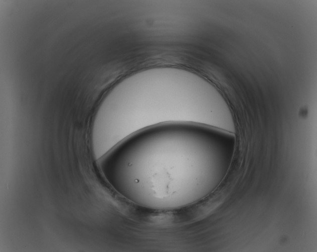 X0000093410362200710120920