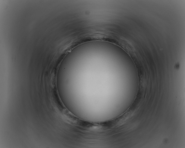 X0000093410364200710120920