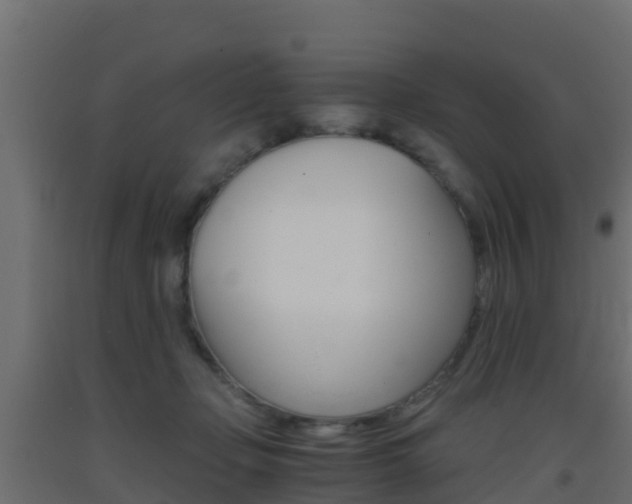 X0000093410365200710120920