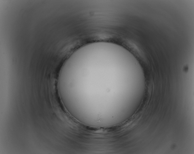 X0000093410366200710120920