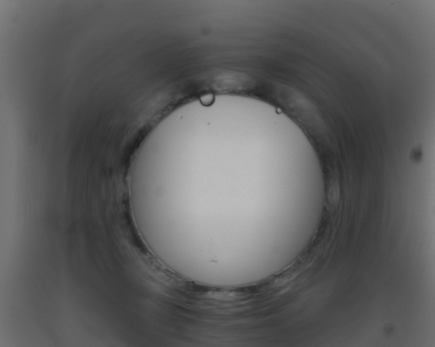 X0000093410367200710120920