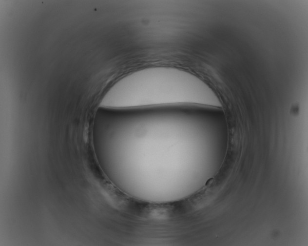 X0000093410368200710120921