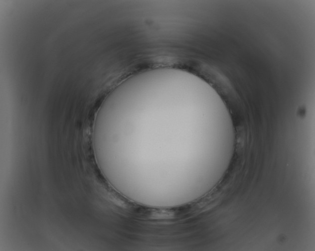 X0000093410369200710120921