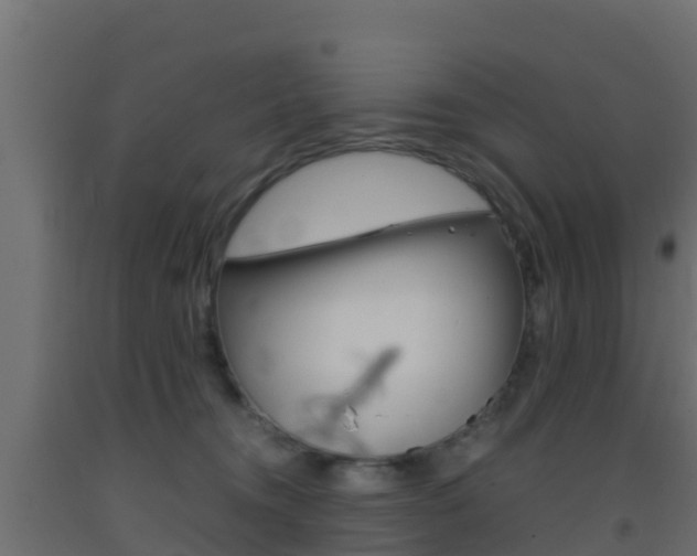 X0000093410372200710120921