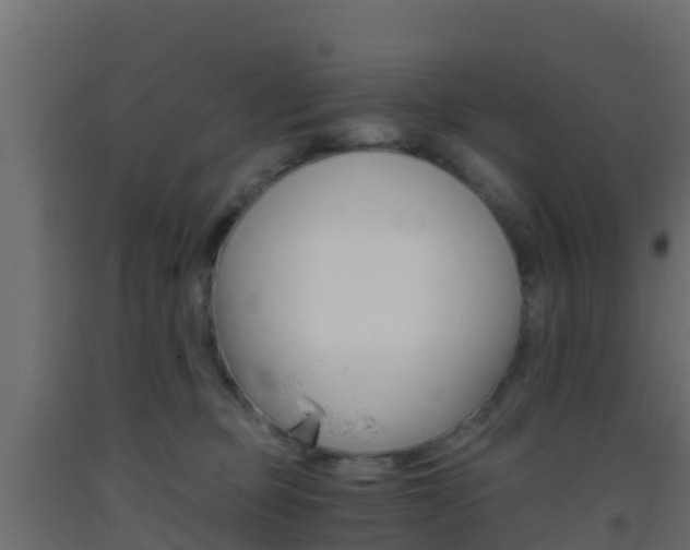 X0000093410373200710120921