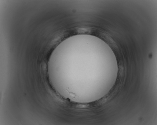 X0000093410375200710120921