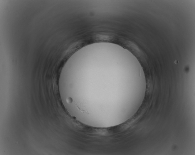 X0000093410377200710120921