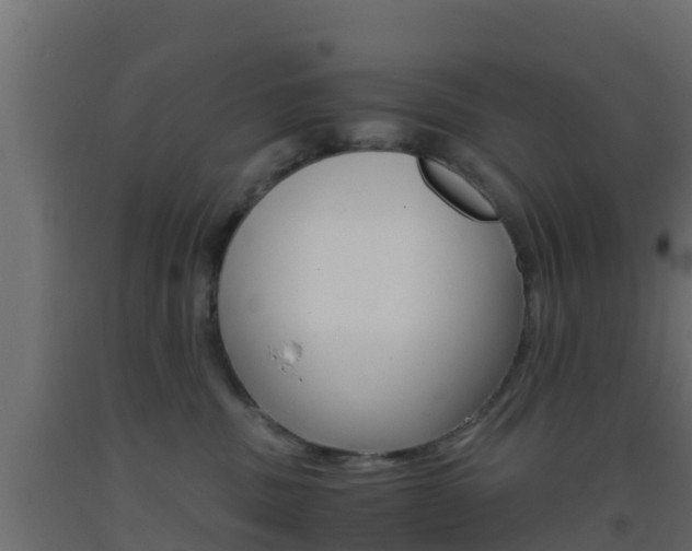 X0000093410379200710120921