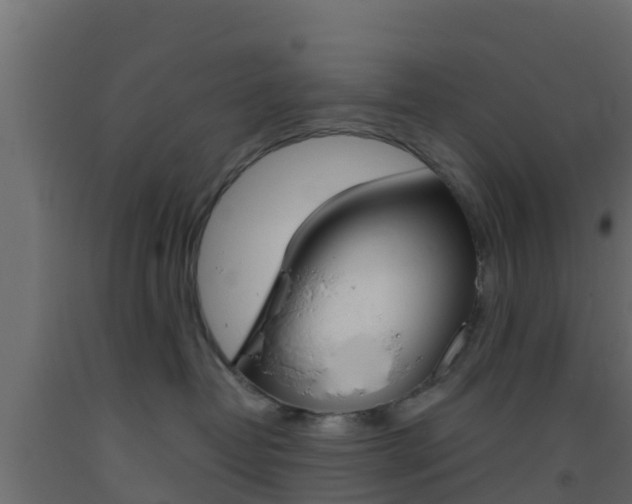 X0000093410382200710120921