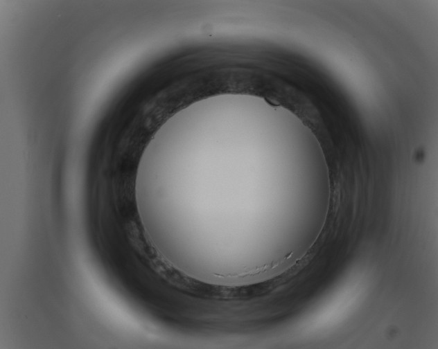 X0000093410383200710120921
