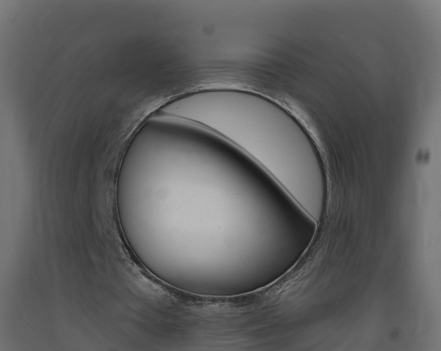 X0000093410385200710120920