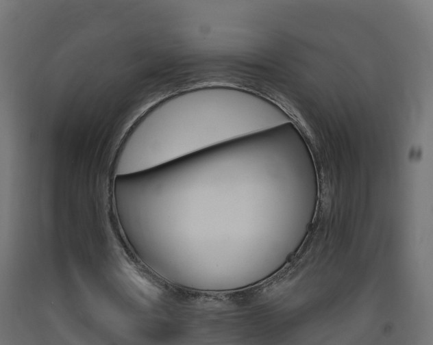 X0000093410386200710120920