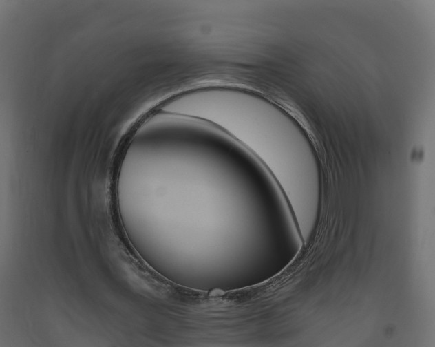 X0000093410387200710120920