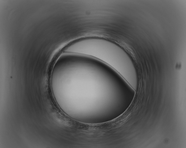 X0000093410388200710120920