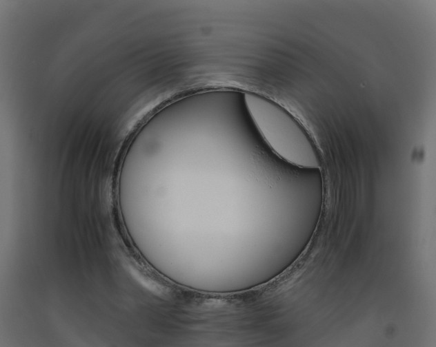 X0000093410390200710120920