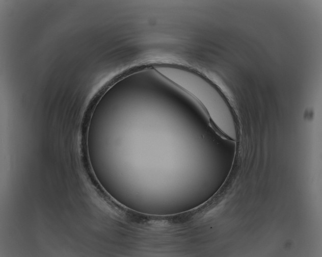 X0000093410391200710120920