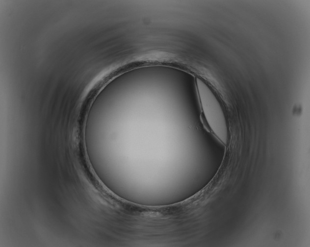 X0000093410392200710120920