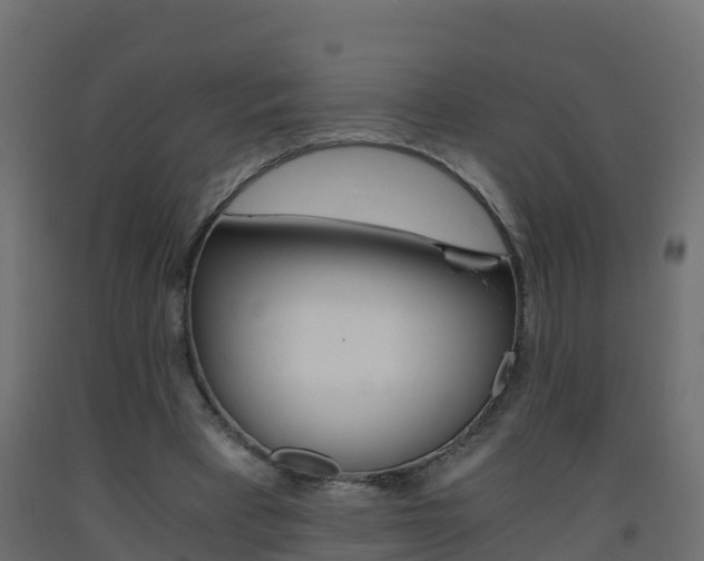 X0000093410393200710120920