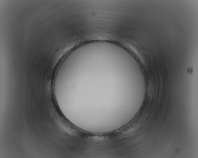 X0000093410394200710120920