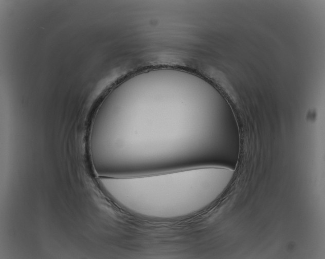 X0000093410395200710120920