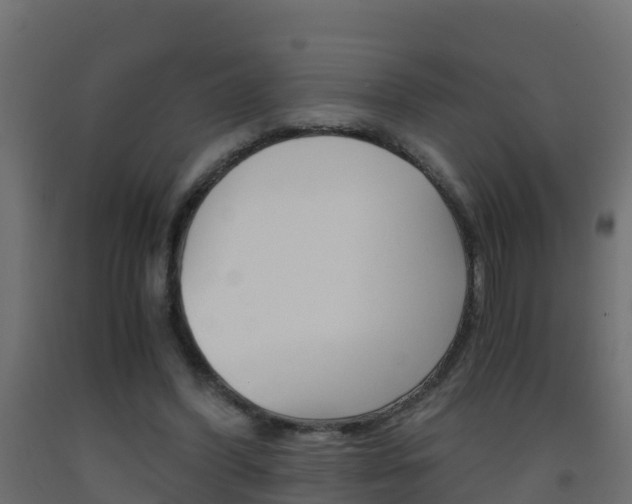 X0000093410396200710120920