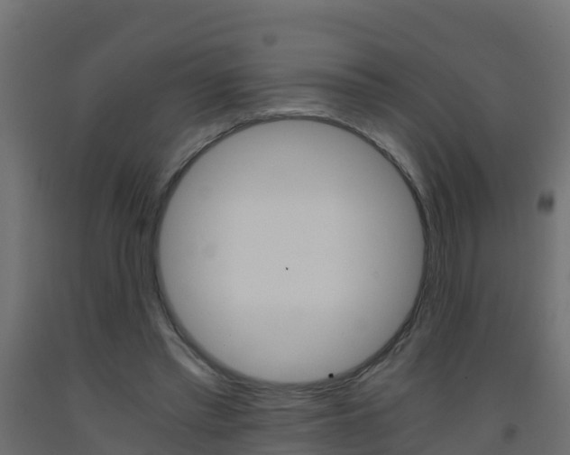 X0000093410397200710120920