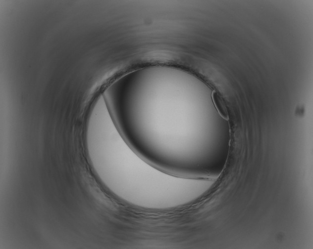 X0000093410399200710120920