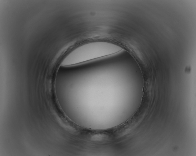 X0000093410400200710120920