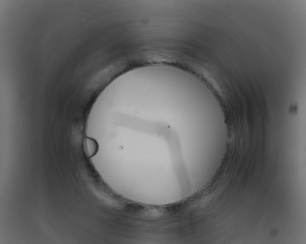 X0000093410402200710120920