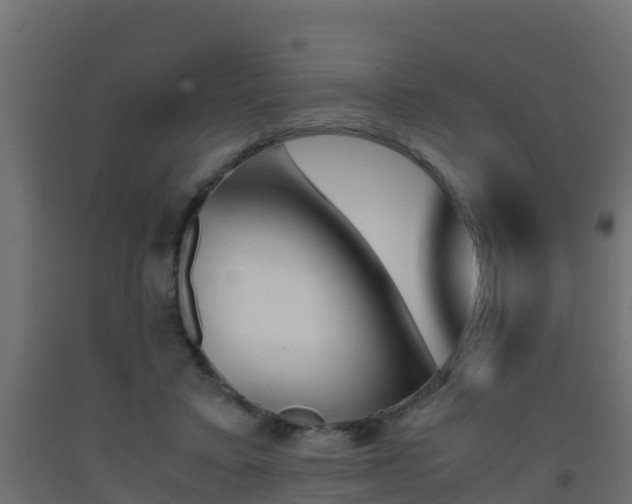 X0000093410403200710120920
