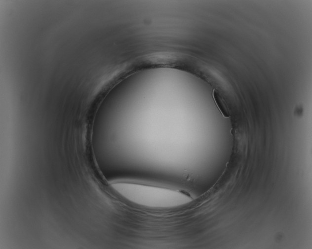 X0000093410404200710120920