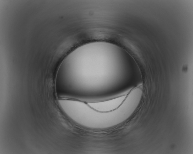 X0000093410407200710120920