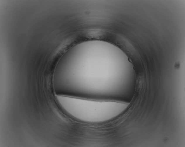 X0000093410408200710120920