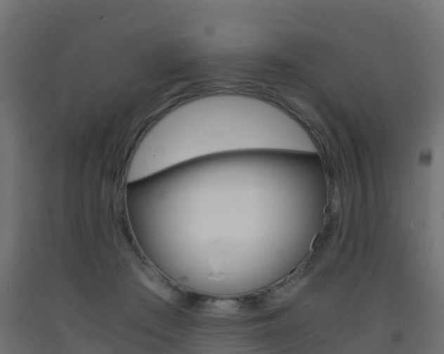 X0000093410409200710120920