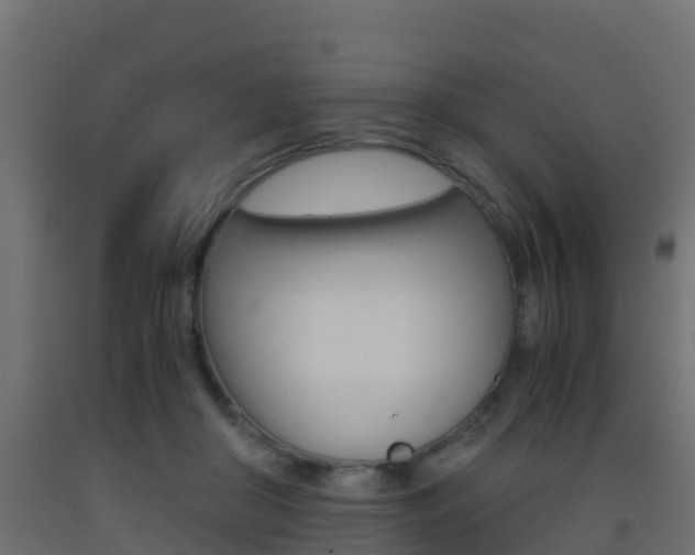 X0000093410410200710120920
