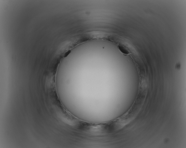 X0000093410411200710120920
